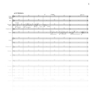 Bruma – Fantasy for violin and orchestra