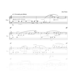 Concierto para piano y ensamble «Evocación»