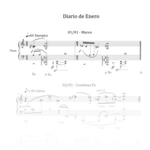 Diario de enero
