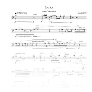 Étude pour contrebasse