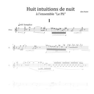 Huit intuitions de nuit