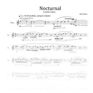 Nocturnal (Night cycle)