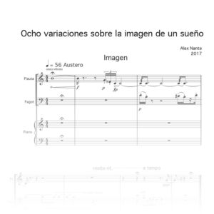 Ocho variaciones sobre la imagen de un sueño (Night cycle)