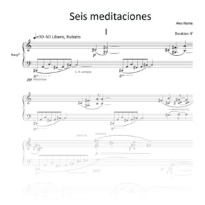Seis Meditaciones